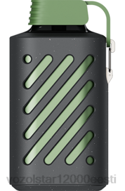 Vozol E Sigaret LP8B297 VOZOL GEAR 10 000 lopsakas jää