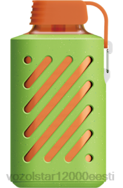 Vozol E Sigaret LP8B303 VOZOL GEAR 10 000 virsiku mango arbuus