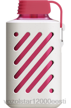 Vozol Eesti LP8B301 VOZOL GEAR 10 000 virsiku jää